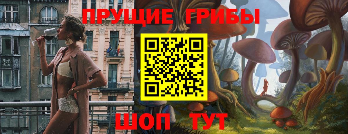 Курчалой  Псилоцибиновые грибы мухоморы  Вход с VPN 
